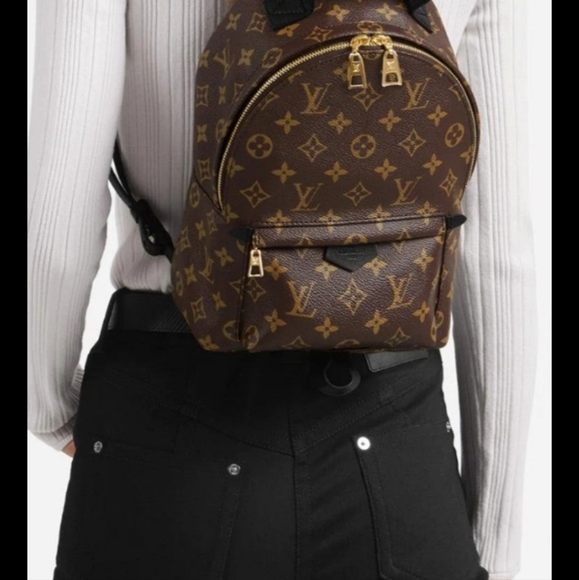 Louis Vuitton Palm Springs PM - Picture 9 of 13